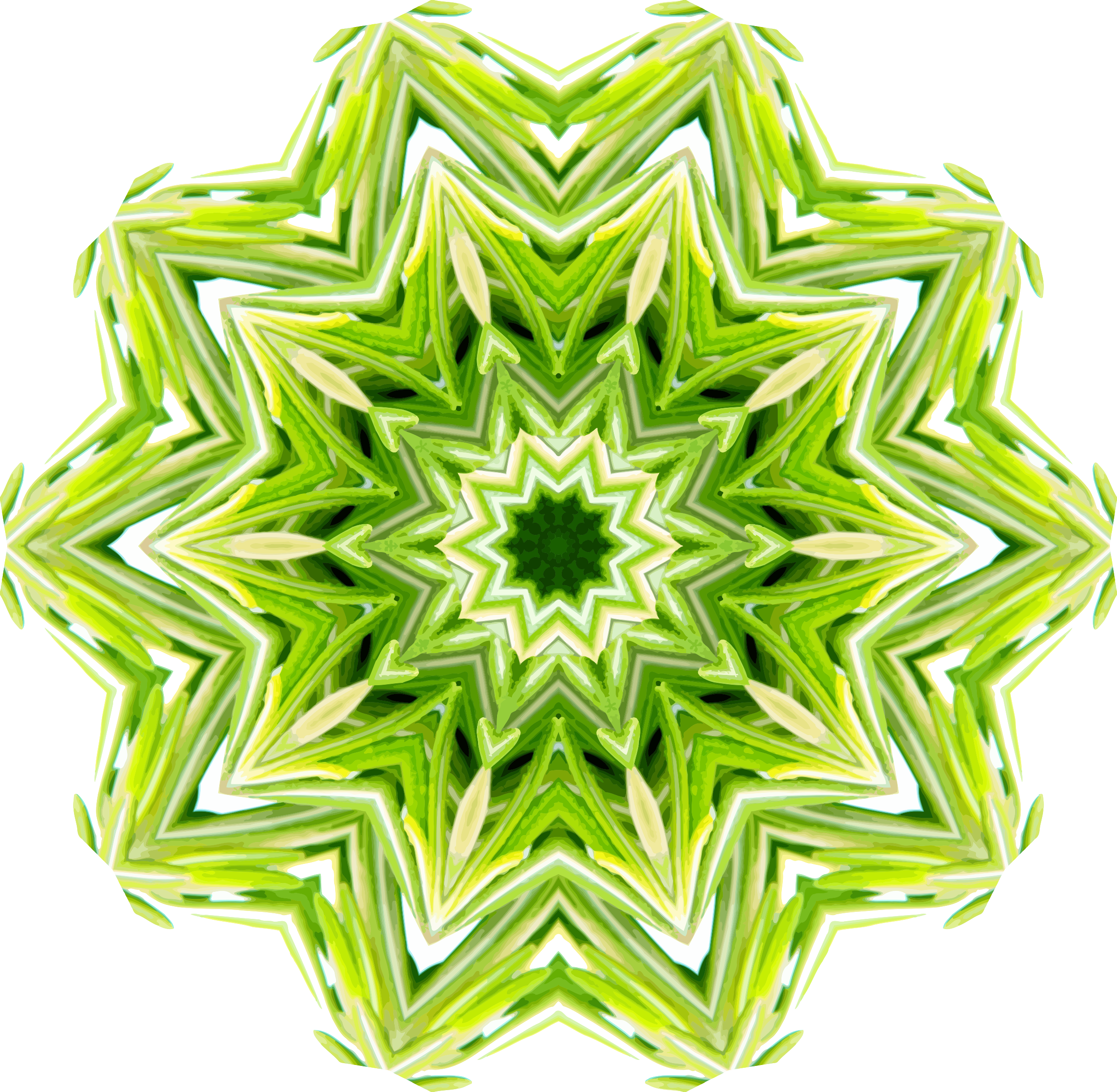 This Free Icons Png Design Of Rosemary Kaleidoscope (2400x2346), Png Download