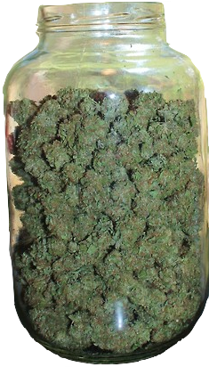 Objectjar Of Marijuana - Cannabis (500x630), Png Download