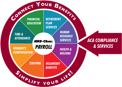 Connect & Simplify - Cubs (493x364), Png Download