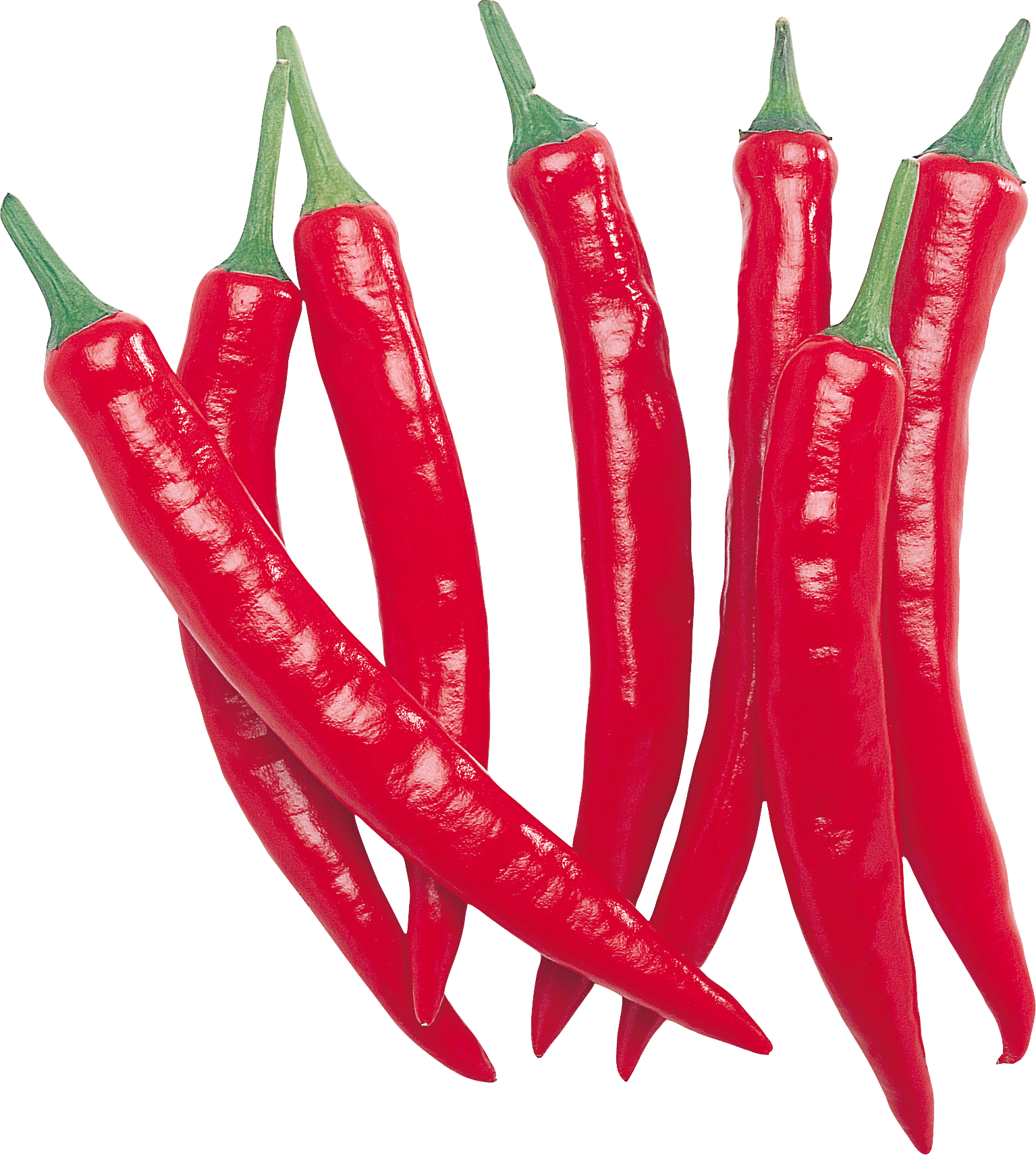 Red Chilli Pepper Row - Red Chili .png (1535x1711), Png Download