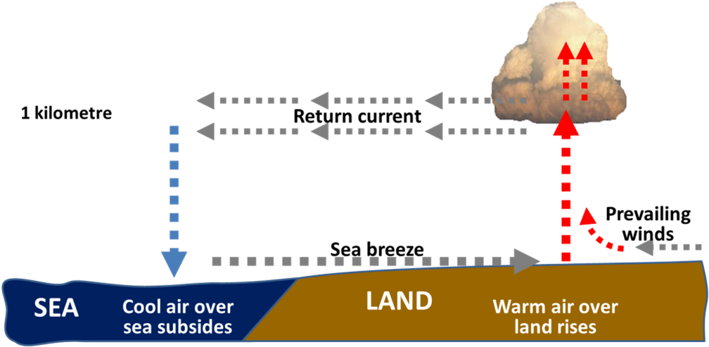 Sea Breeze (1022x501), Png Download