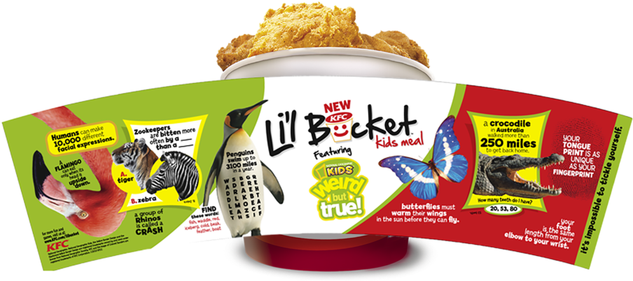 Kfc/national Geographics Lil' Bucket - Kids Bucket Kfc (1000x423), Png Download