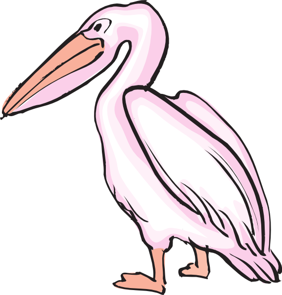 Small - Pelican (570x597), Png Download