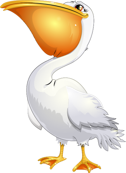 Pelican Cartoon Png (431x591), Png Download