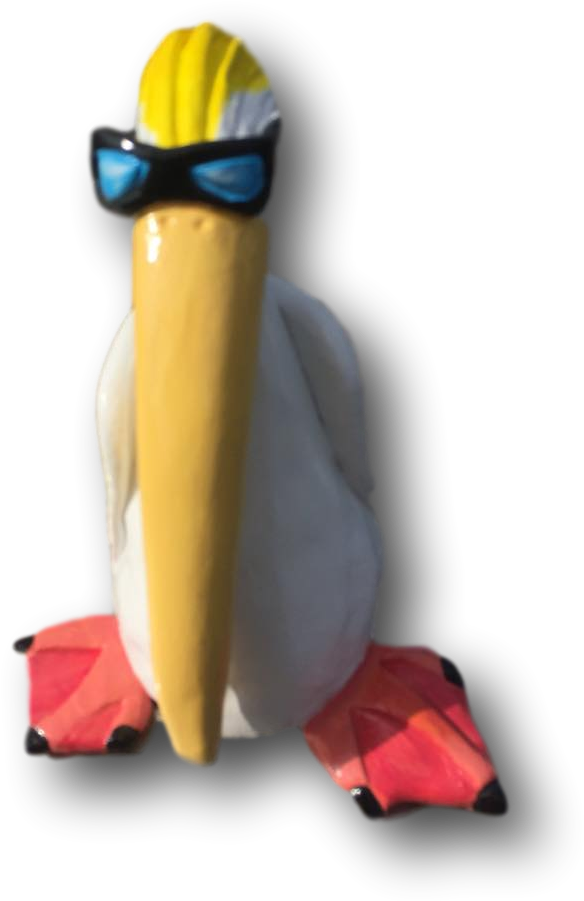 Captain Johnny Pelican - Duck (919x918), Png Download