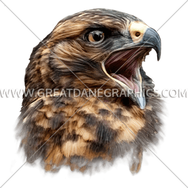 Screaming Hawk - Screaming Hawk Drawing (385x385), Png Download