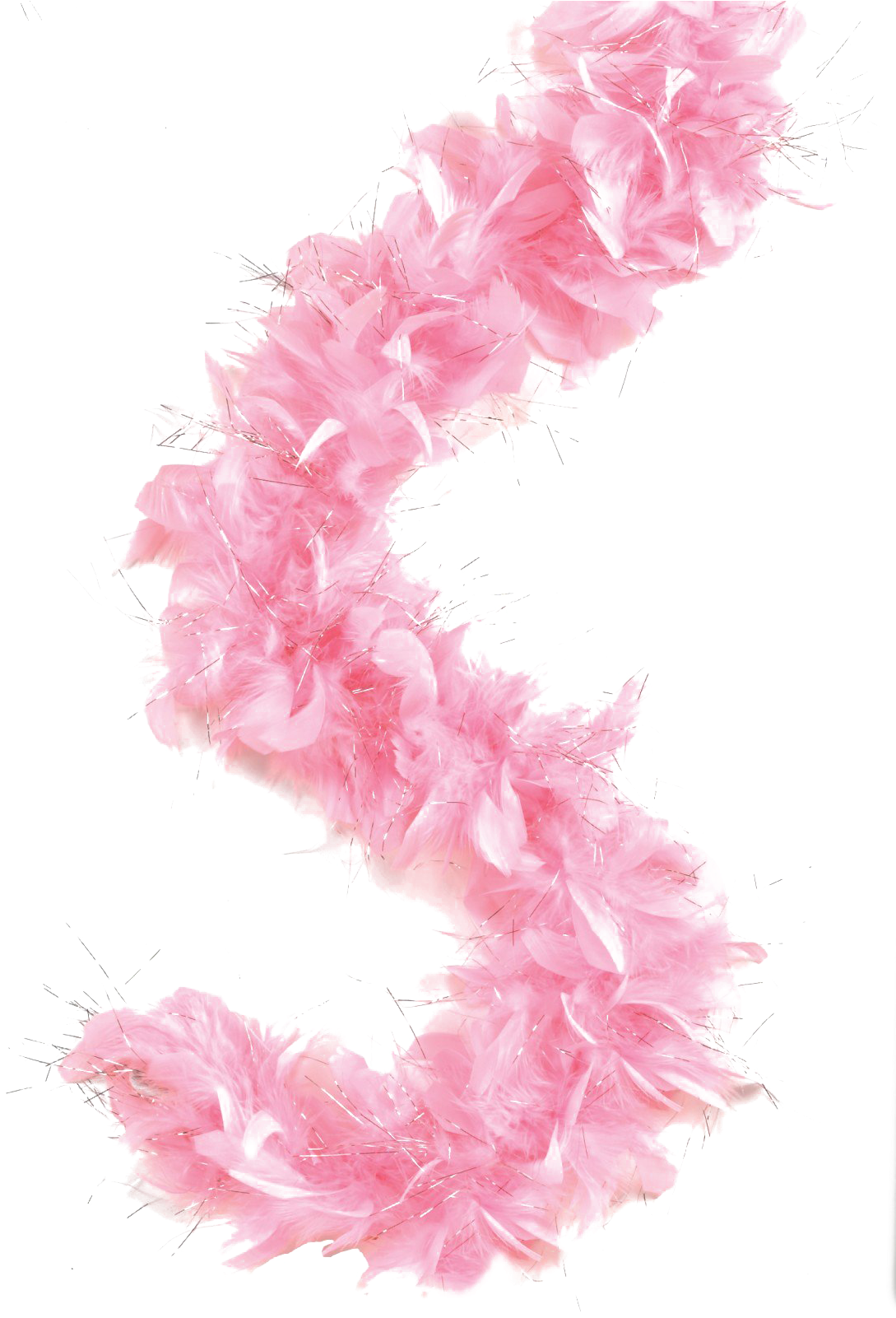 Feather Boa Png Picture - Pink Feather Boa Clipart (1600x1600), Png Download