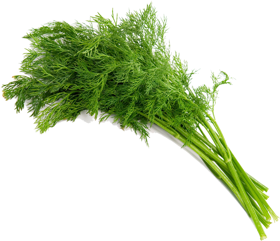 Dill-herbs - Koper Ogrodowy Kozak 500g (1000x850), Png Download