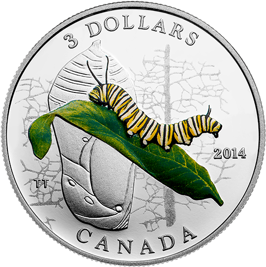 Fine Silver Coin - Silver Coin (570x570), Png Download