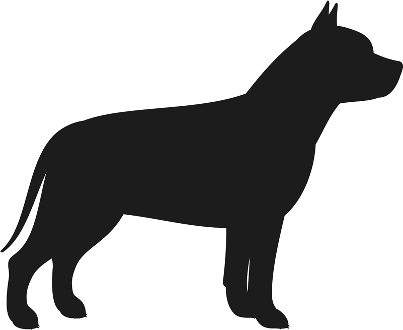 Pit Bull Stamp - French Bulldog Silhouette (800x800), Png Download