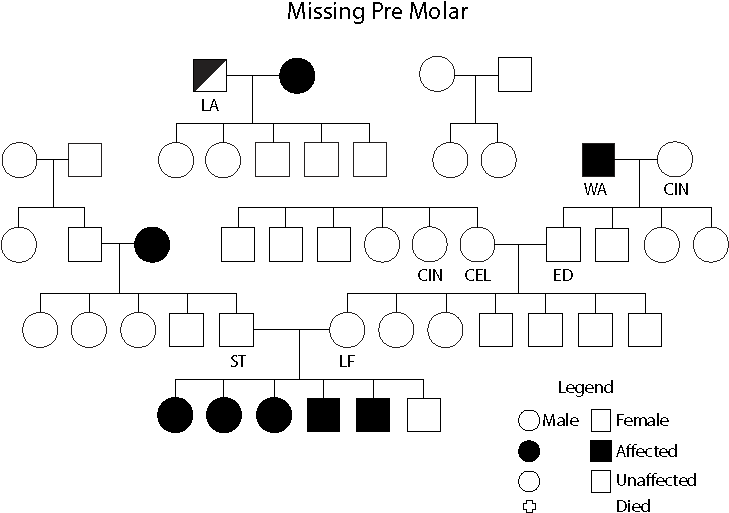 Figure 3 Missing Pre Molor - Diagram (800x600), Png Download