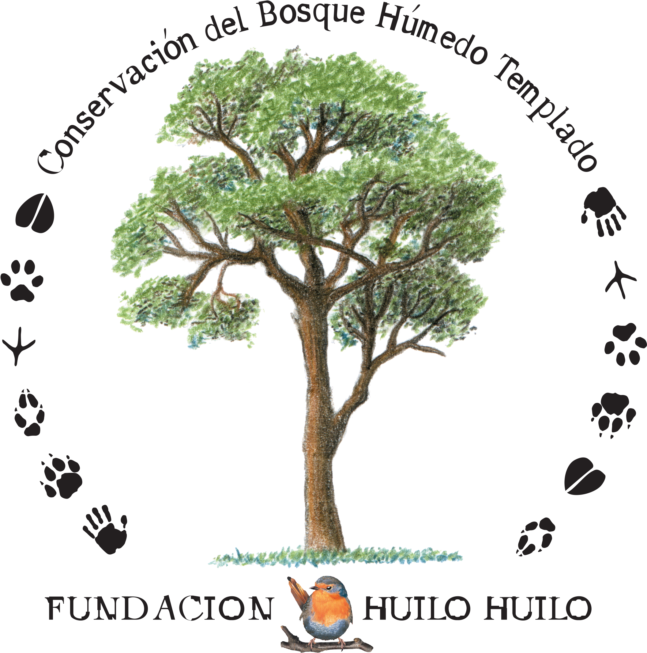 21 Feb 2017 - Huilo Huilo (2550x2364), Png Download