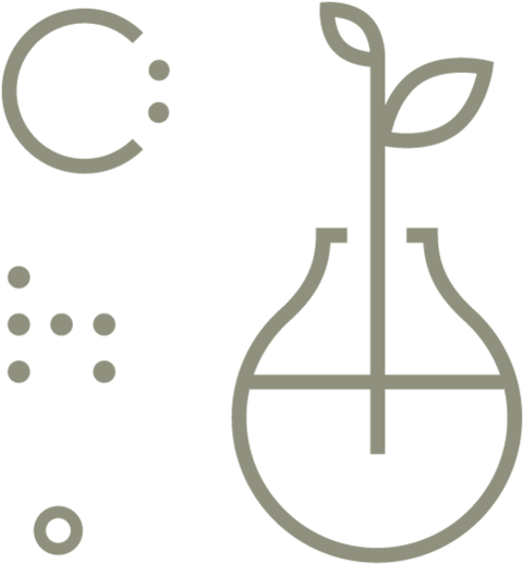 H A P P E N N G - Violin (1000x1000), Png Download