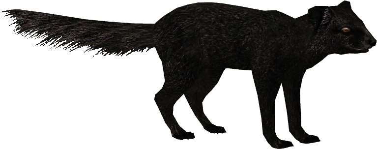 Black Mongoose (766x766), Png Download