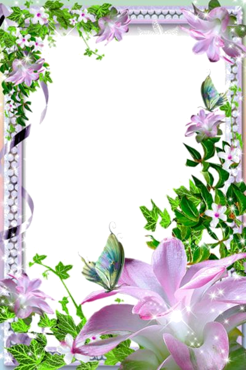 Flower Frame, Borders For Paper, Borders And Frames, - Beautiful Flower Photo Frames (500x750), Png Download