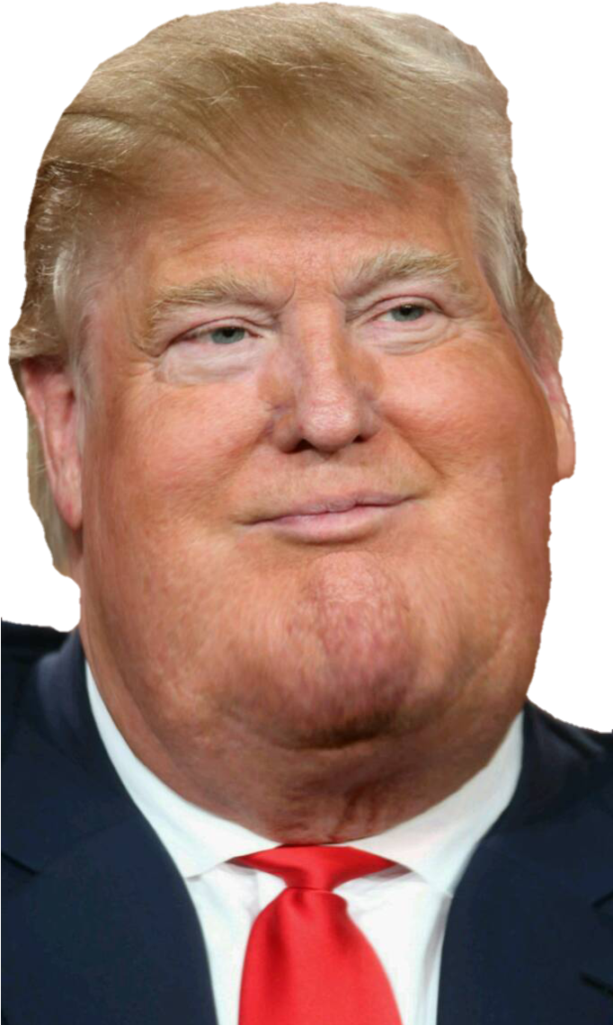 Afbeeldingsresultaat Voor Donald Trump Fat Sarcasm, - Donald Trump Fat Face (681x1172), Png Download