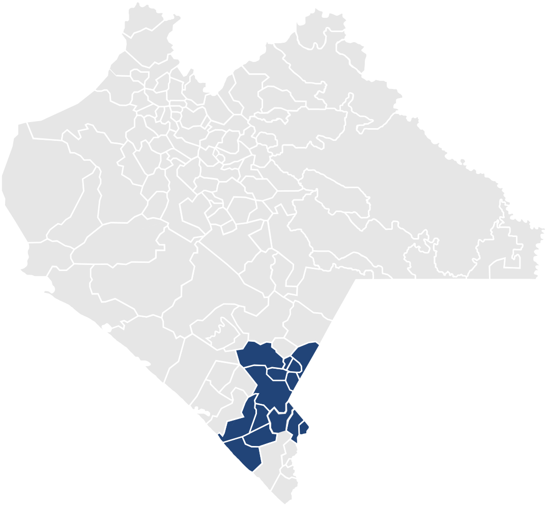 Chiapas Distrito - Christmas Tree (1107x1024), Png Download