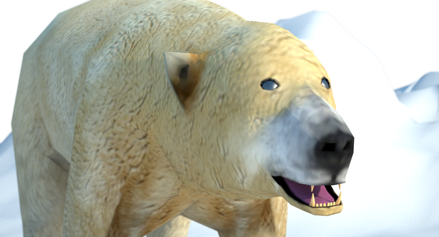 5 - Polar Bear (1480x800), Png Download