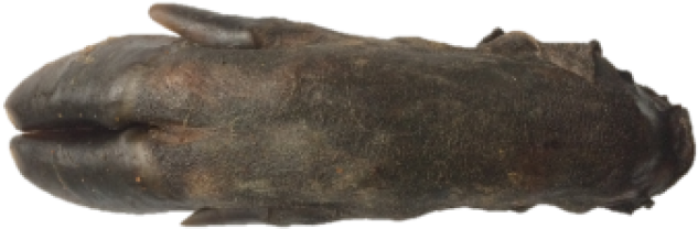 Anco Naturals Wild Boar Trotters - Nature's Wild Boar Trotters 2pk (750x750), Png Download