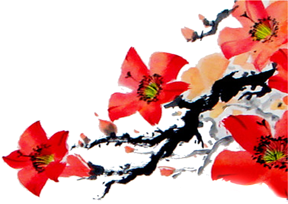 Ink Red Peach Flower - Bombax Ceiba Flower Illustration (1024x1024), Png Download