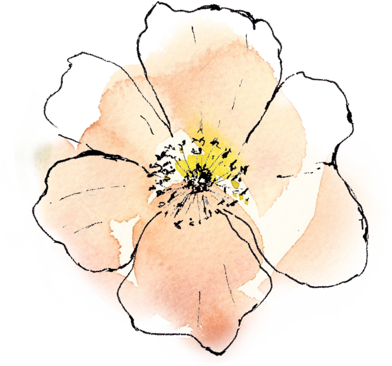 Peach & Orange Centre Flower - Orange Center (800x747), Png Download