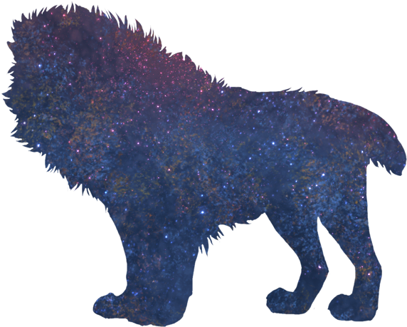 Lion (640x500), Png Download