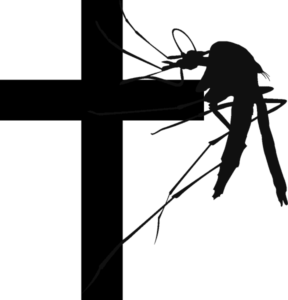 In February, A Survivalist Group Announced Plans To - Stop Dengue (576x600), Png Download