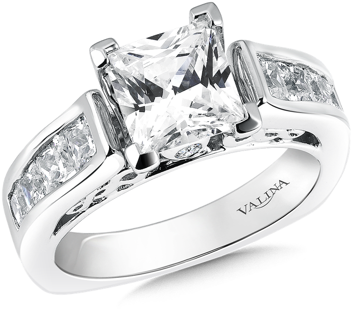 Valina Mounting With Side Stones - Princess Cut Center-stone (800x800), Png Download