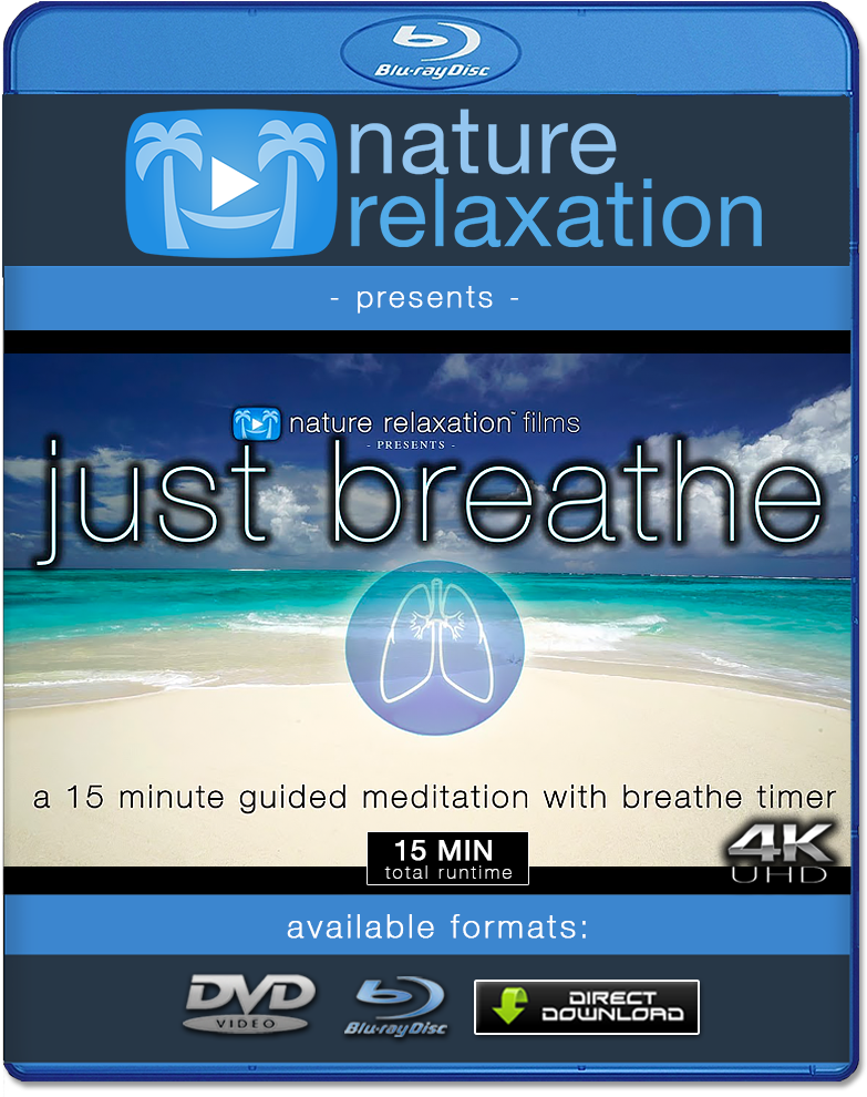 "cannon Beach Sunset Waves" Looping Nature Relaxation (1000x1000), Png Download