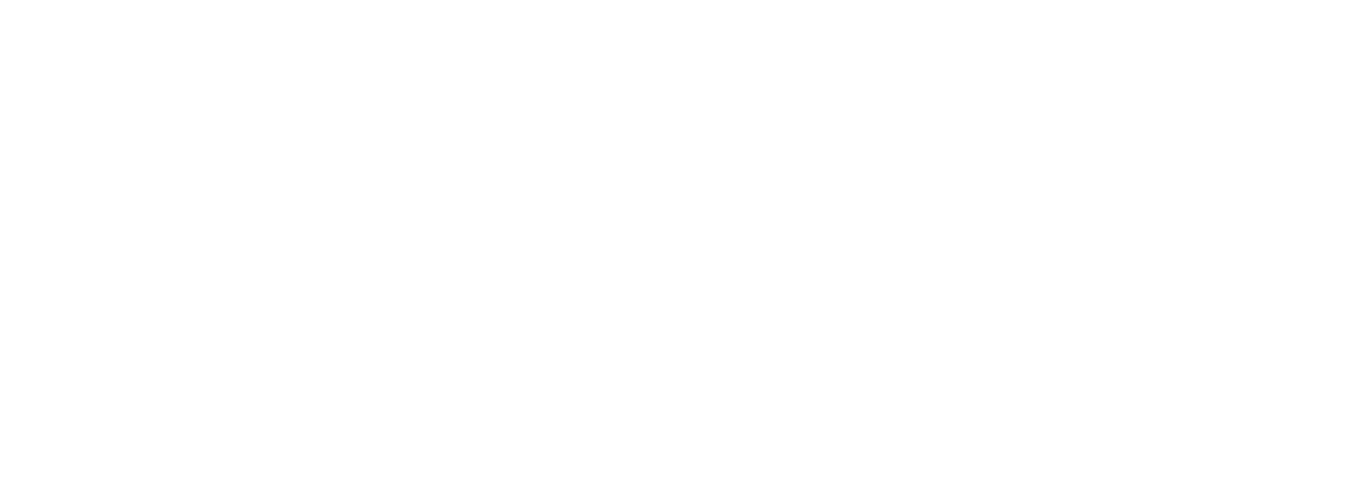Scalini Palace Logotip - Wordpress Logo White Png (1400x592), Png Download