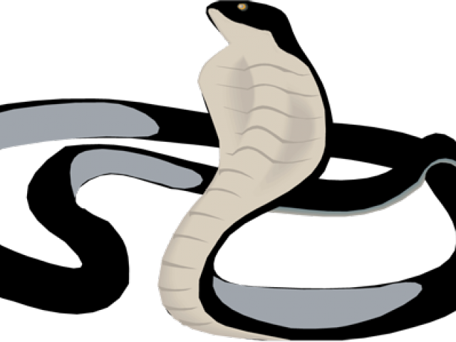 Serpent Clipart Black Mamba - Black Mamba (640x480), Png Download