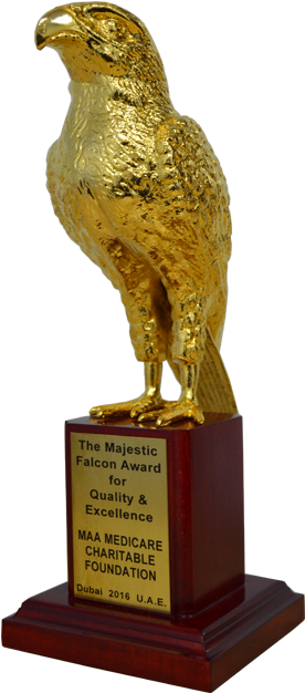This Award Was Conferred To Us By Otherways' Organization - Cardiac Diagnostic Center (510x646), Png Download