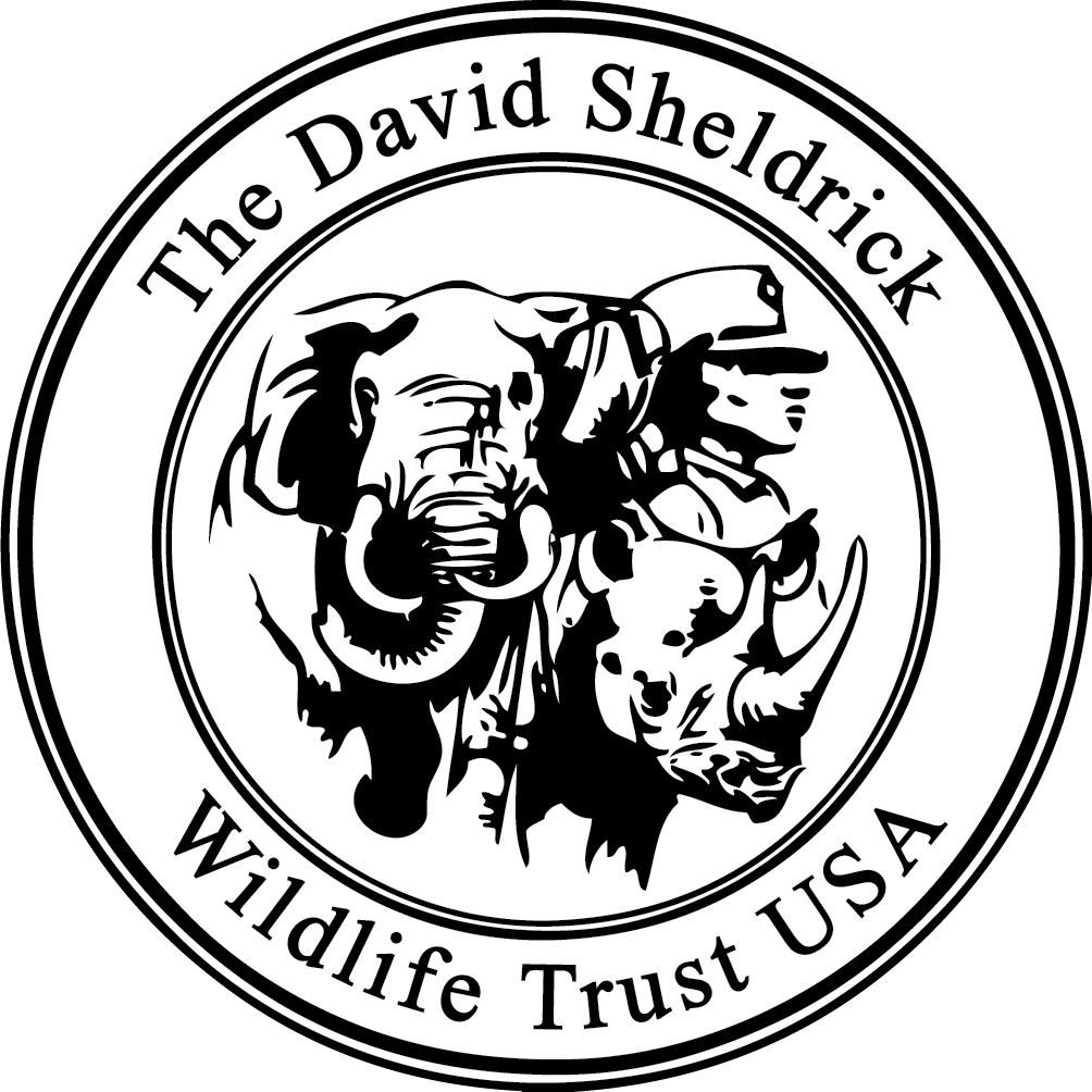 Dswtusa Logo Vector - David Sheldrick Wildlife Trust Logo Png (1004x1004), Png Download