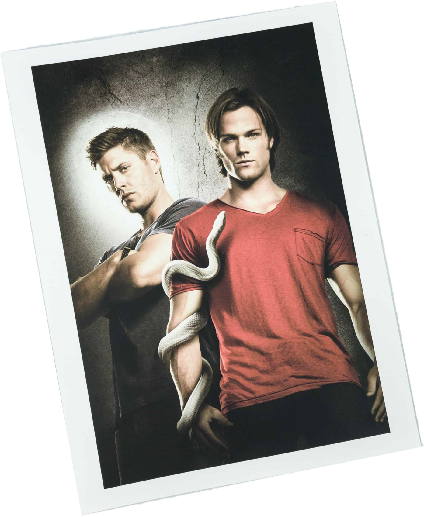 Load Image Into Gallery Viewer, Culturefly Supernatural - Supernatural - Official Companion Series 6 By Tim Waggoner (2048x1853), Png Download