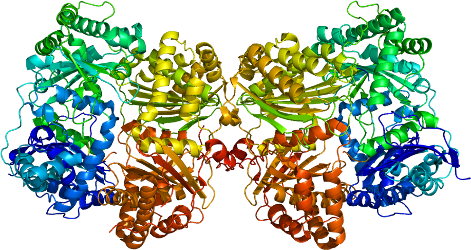 Ide Enzyme (966x535), Png Download
