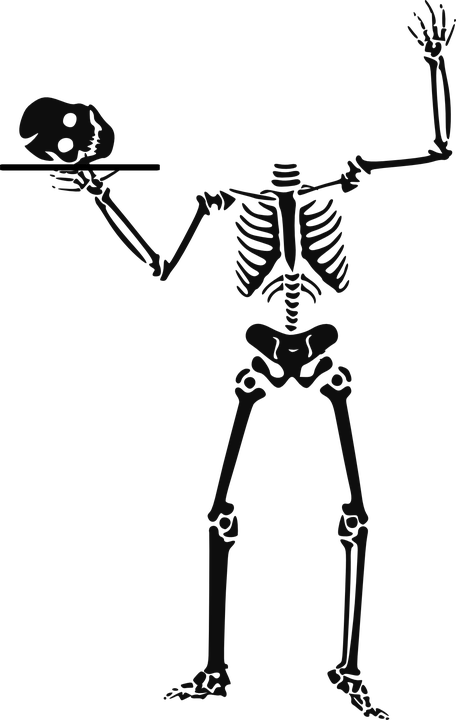 Esqueleto Desenho Png - Halloween Skeleton Png (456x720), Png Download