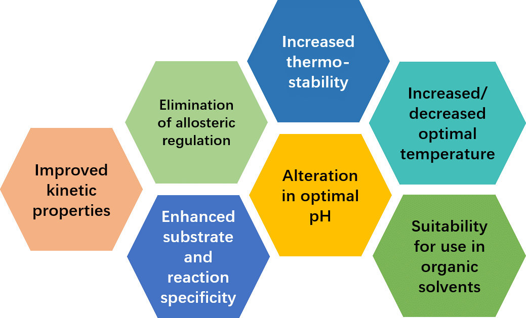 Enzyme Engineering And Modification- - Enzyme Engineering In Rational Design (1039x629), Png Download