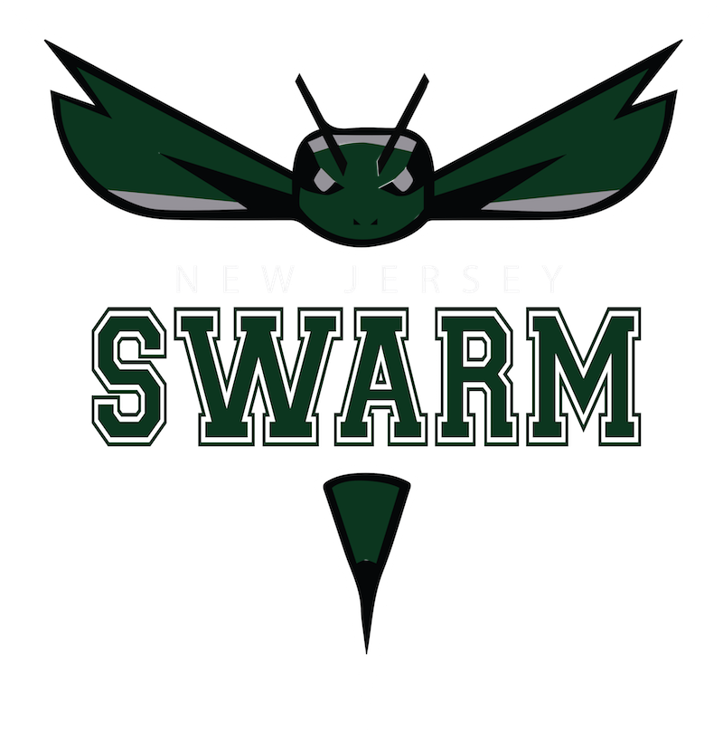 Swarm New Jersey - Supernatural Winchesters Ornament (oval) (800x809), Png Download