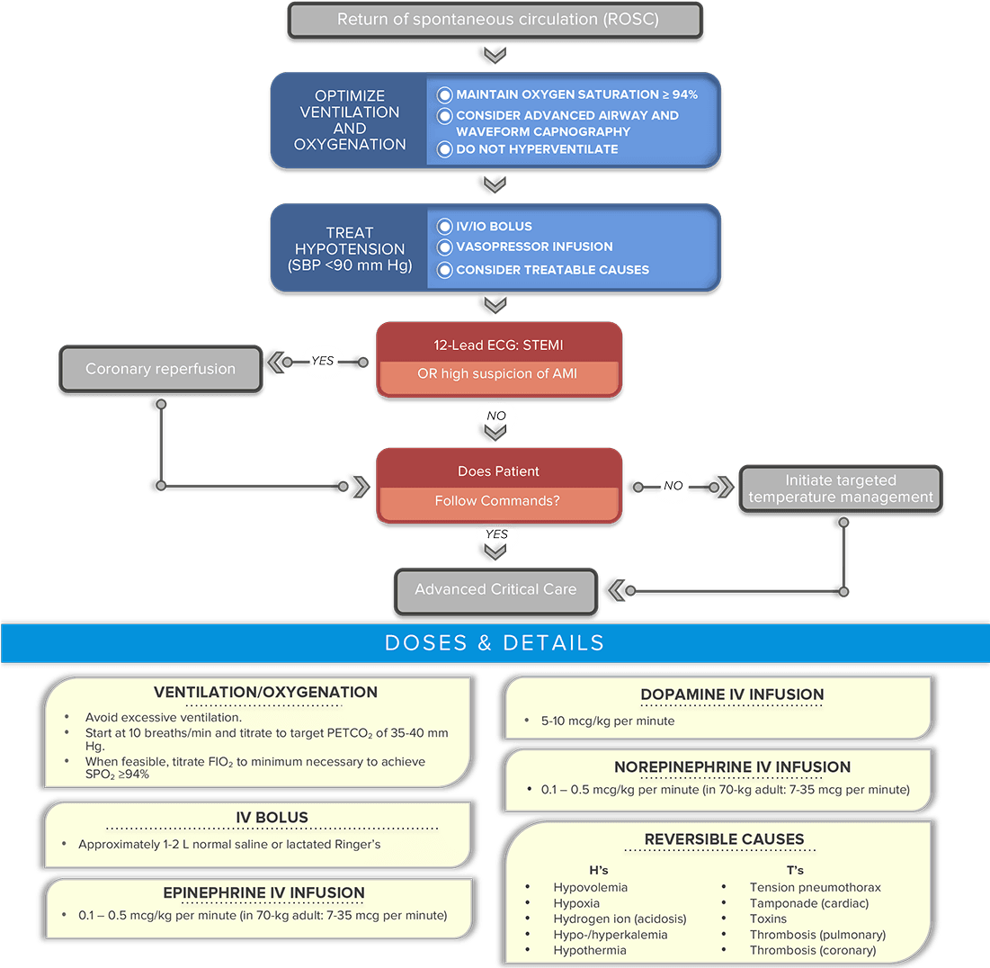 Post-cardiac Arrest Care Acls Algorithm - Post Cardiac Arrest Case (1100x1084), Png Download