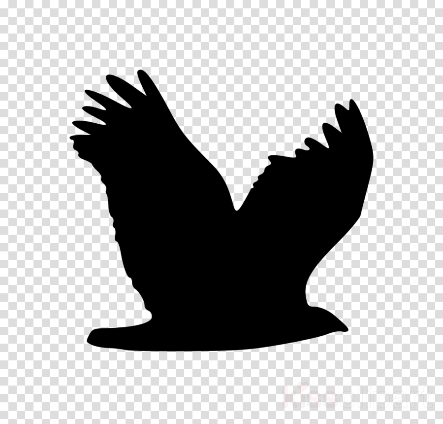 Hawk Silhouette Transparent Clipart Animal Silhouettes - Team Icon Transparent Background (900x860), Png Download