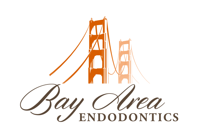 Link To Bay Area Endodontics Home Page - San Francisco Bay Area (676x455), Png Download