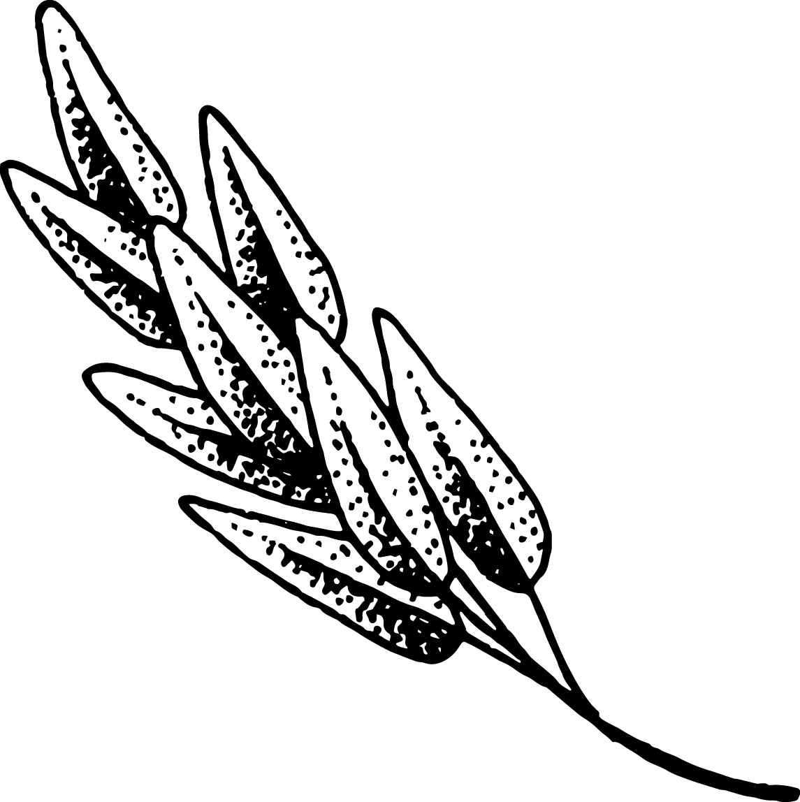 The Doctor's Housejessica & Joelfilm - Illustration (1145x1148), Png Download