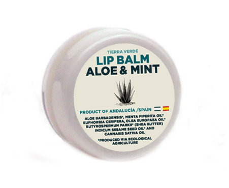 Aloe Menta Copia 2 - Makeup Mirror (765x791), Png Download
