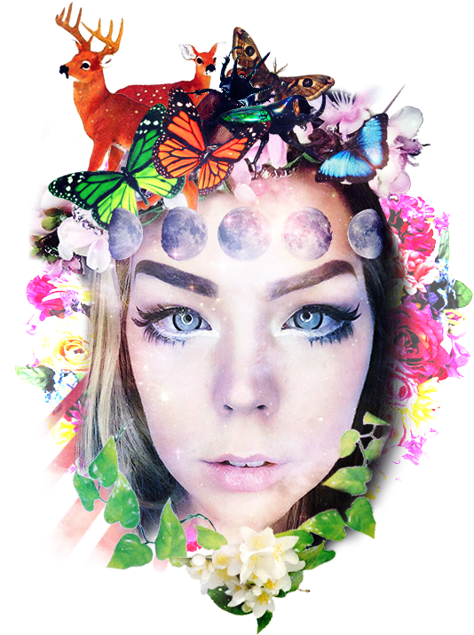 C E Cac Png Kin Suzy - Tea Beyond Duo Jamine Whole Leaf Green Tea Gift - Fls-gpts-wgj705 (540x810), Png Download