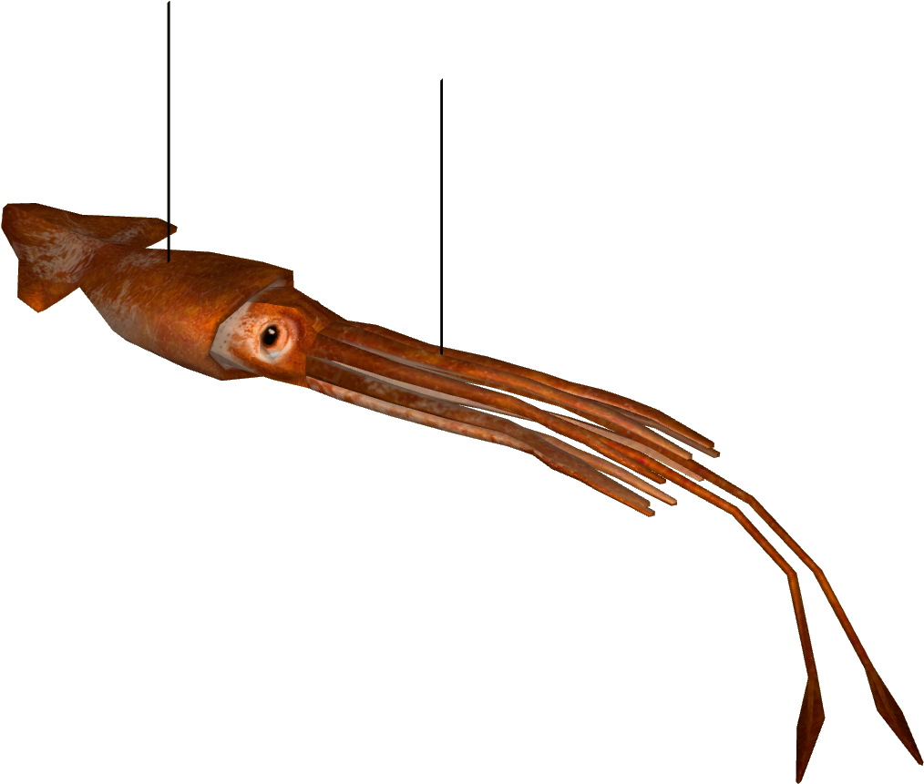 Giant Squid -0 - Zoo Tycoon 2 (1013x1013), Png Download