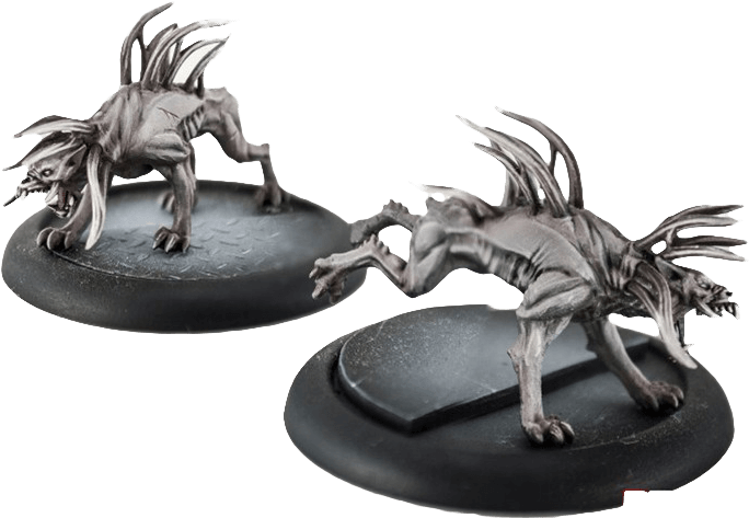 Hellhound Aliens Vs Predator (709x709), Png Download