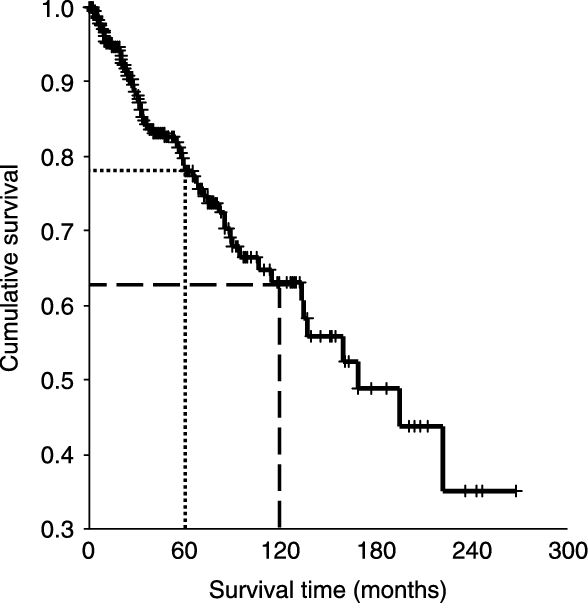 Cumulative Survival Analysis According To The Kaplan-meier - Survival Analysis (588x603), Png Download
