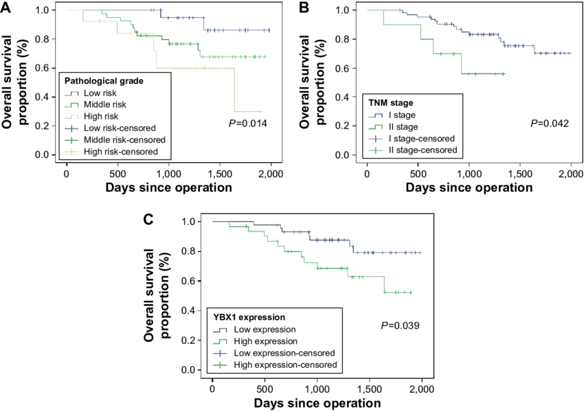 Kaplan Meier Survival Curves For Overall Survival In - Diagram (850x600), Png Download