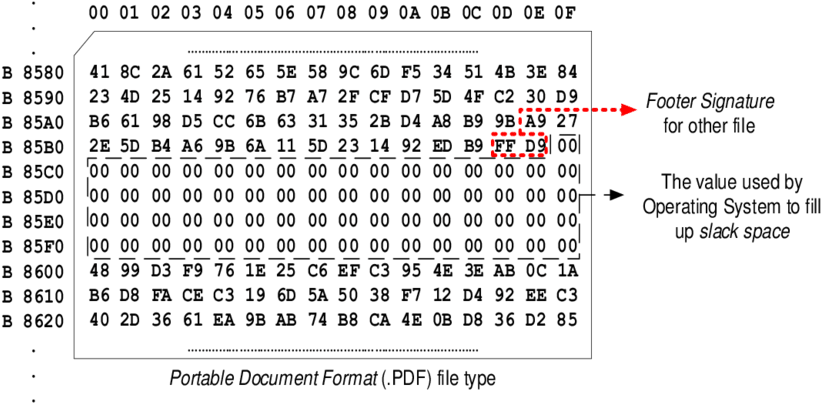 Analysis Of Damaged Files - Carpet (850x424), Png Download