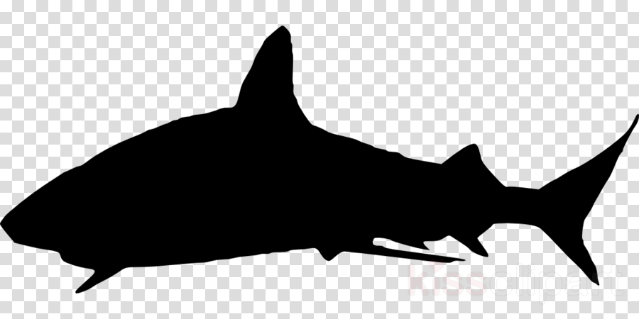 Speech Bubble Icon Transparent Clipart Computer Icons - Clip Art (900x450), Png Download